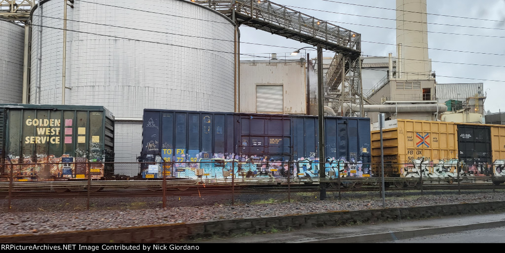 Boxcars stored next to GP mill in Toldeo